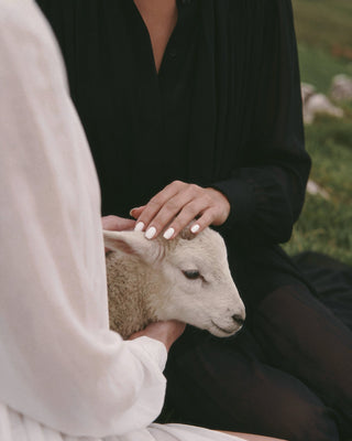 A close-up lifestyle shot of a person in a black shirt gently petting a white lamb, with another person in a white shirt holding the lamb. The person's hand has white manicured nails.